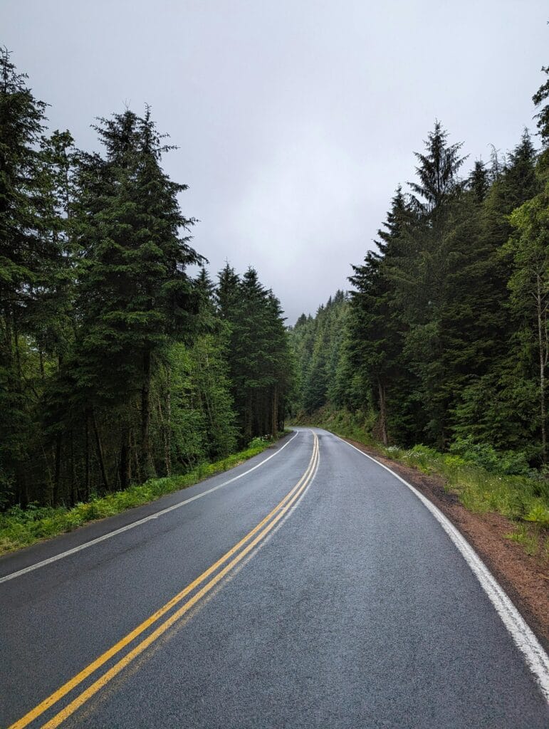 Serene rainy road through lush coniferous forest in Oregon, capturing misty tranquility and green landscapes.